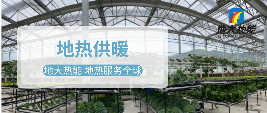 發(fā)揮地?zé)豳Y源優(yōu)勢(shì)，地?zé)徂r(nóng)業(yè)實(shí)現(xiàn)花卉產(chǎn)業(yè)特色發(fā)展 | 地大熱能 地?zé)岱?wù)全球